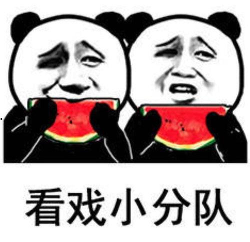 娱乐吃瓜表情包图片大全