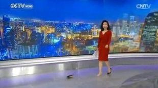 asia today的女主播